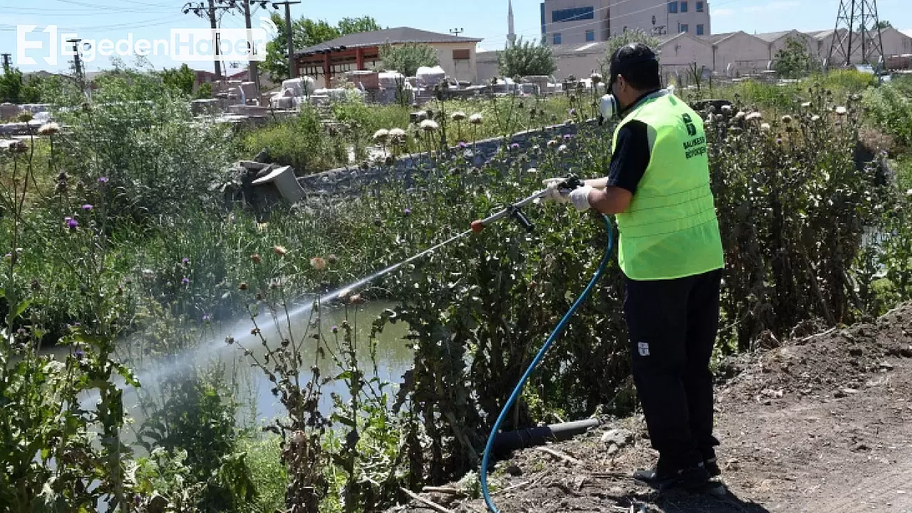 Balıkesirliler bu yaz sivrisinekten kurtuluyor