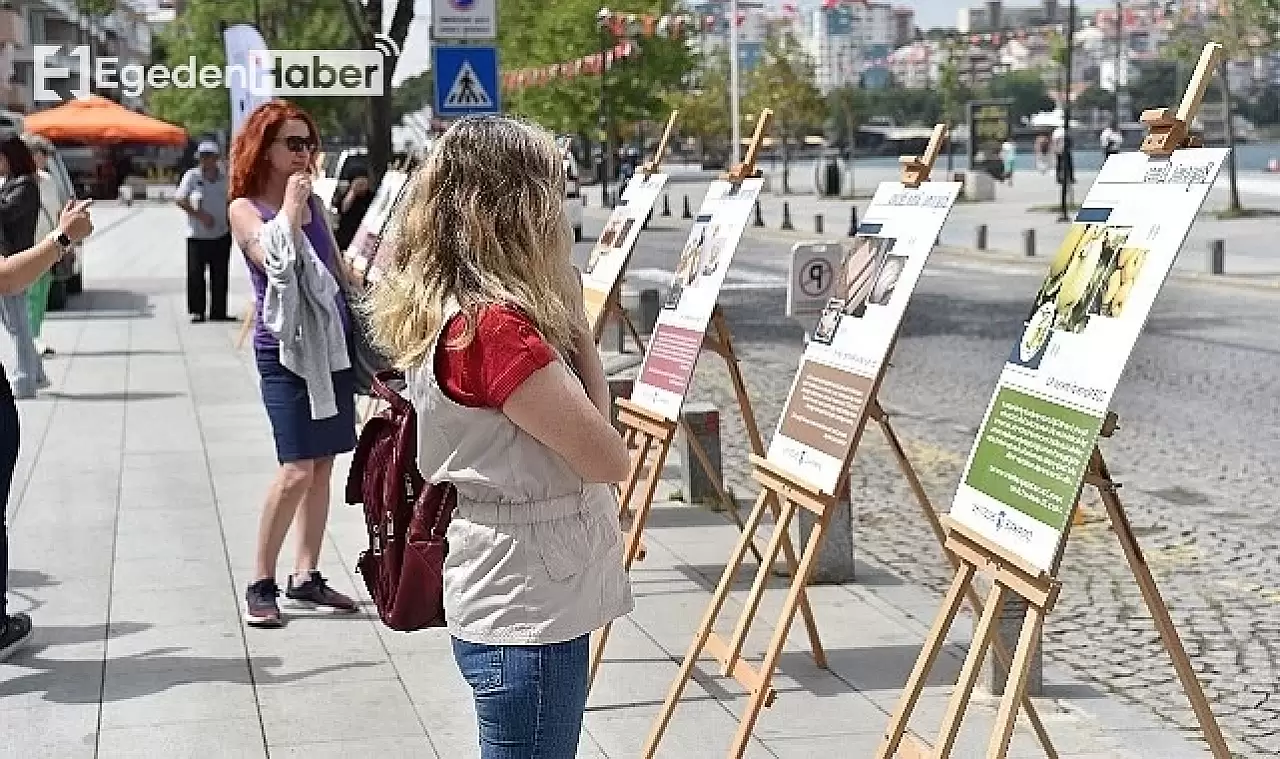 Çanakkale coğrafi işaretli ürünler sergisi merak uyandırdı