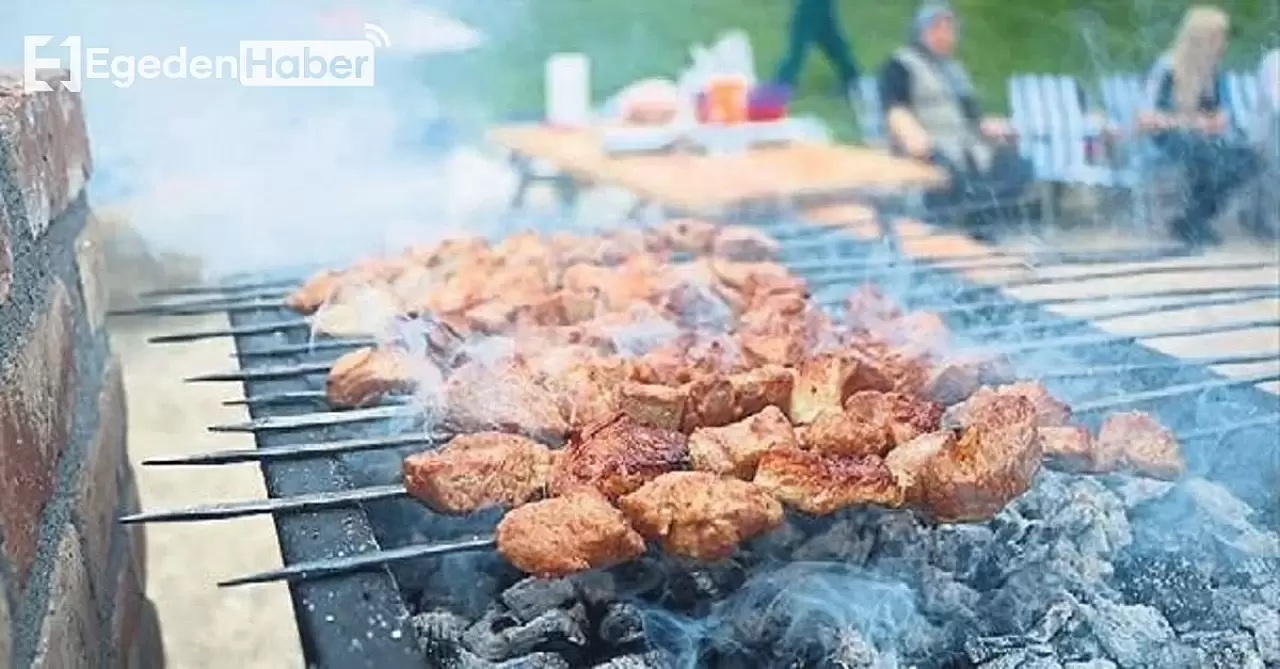 Mangal keyfi cezaya dönüştü: Ormanda mangal yapan 31 kişiye idari para cezası verildi