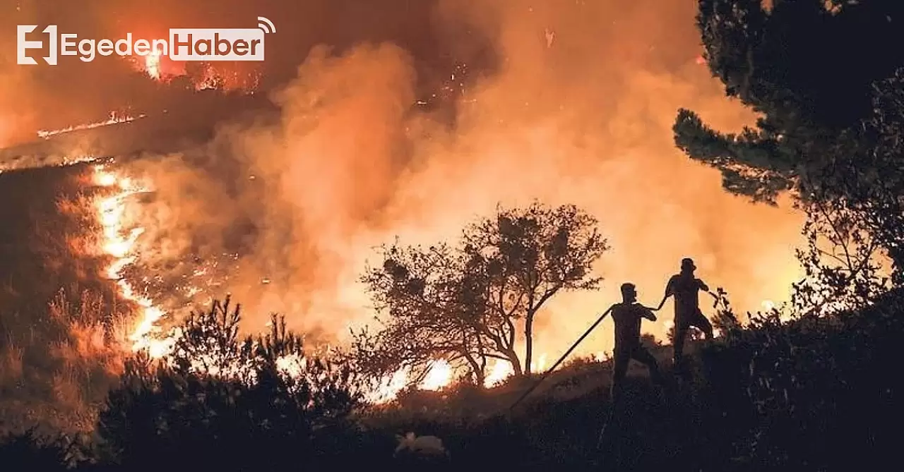 Çanakkale'nin Ormanları Alev Toplarıyla Yutuldu!