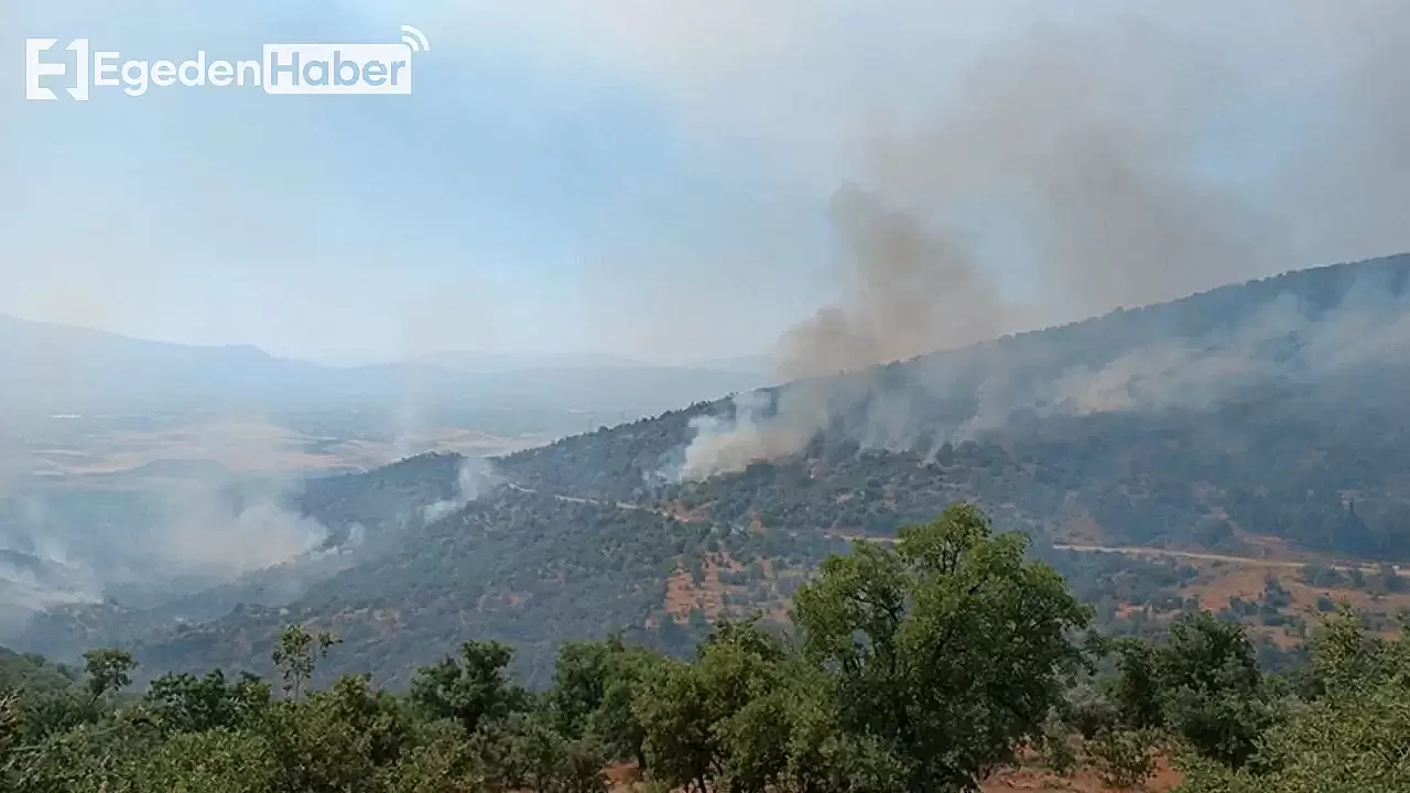 Yangın büyüyor: Uşak-İzmir tren seferleri durduruldu