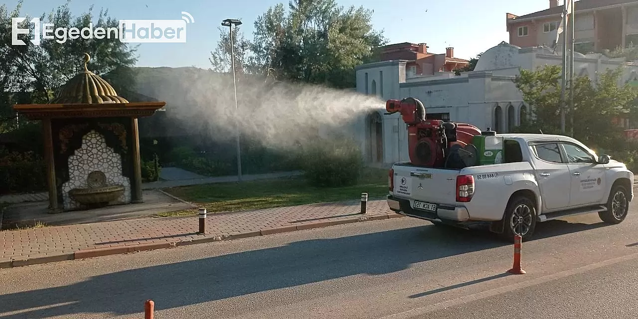 Bayram öncesi ilaçlama çalışmaları hız kazandı