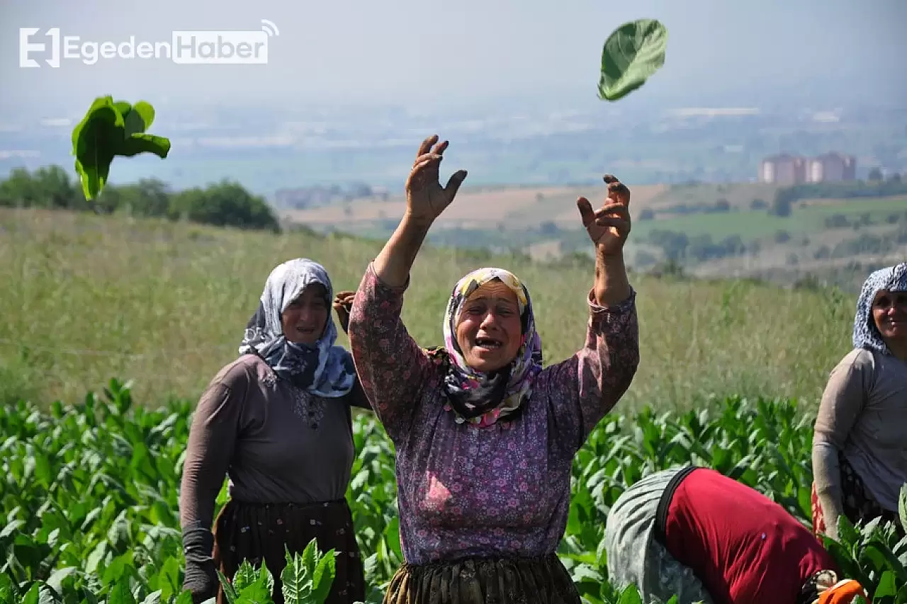 Çiftçiler, kuraklıkla mücadele için su taleplerini dile getirdi