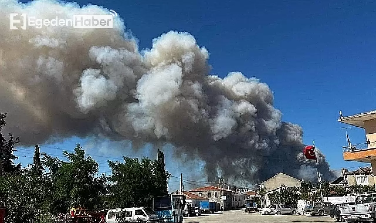 Tarihi Alanı'nın Güney Hattı Yeniden Ziyarete Açıldı