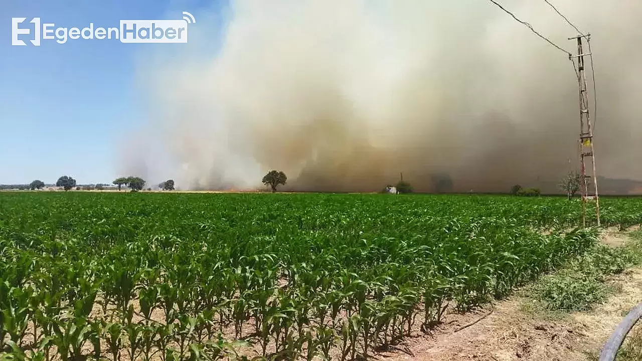 Çanakkale'de Yeni Bir Yangın Korkusu: Kabus Devam Ediyor