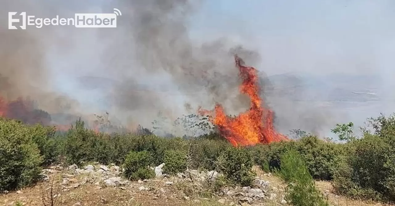 Manisa'da Alevler Ormanı Sardı: İtfaiye Ekipleri Karadan ve Havadan Yangına Müdahale Ediyor!