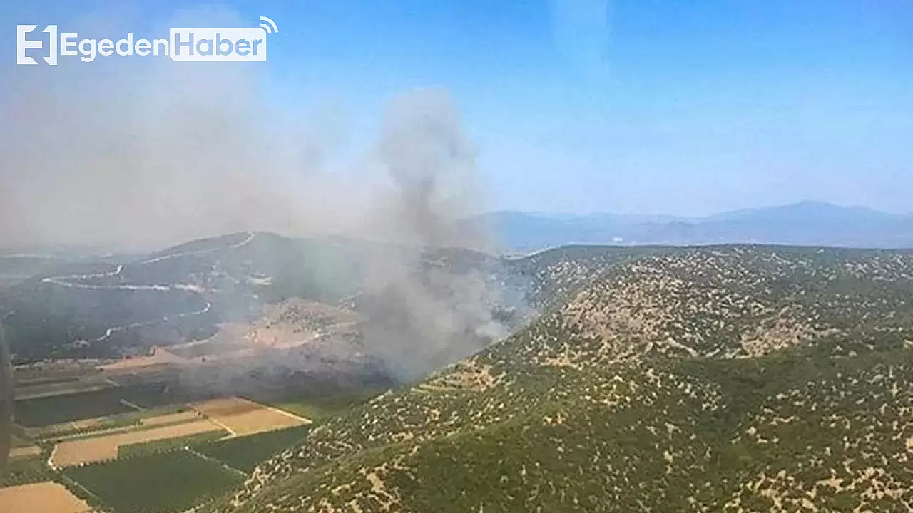 Bayındır ve Tire ilçelerinde yangın! Tarım arazileri zarar gördü