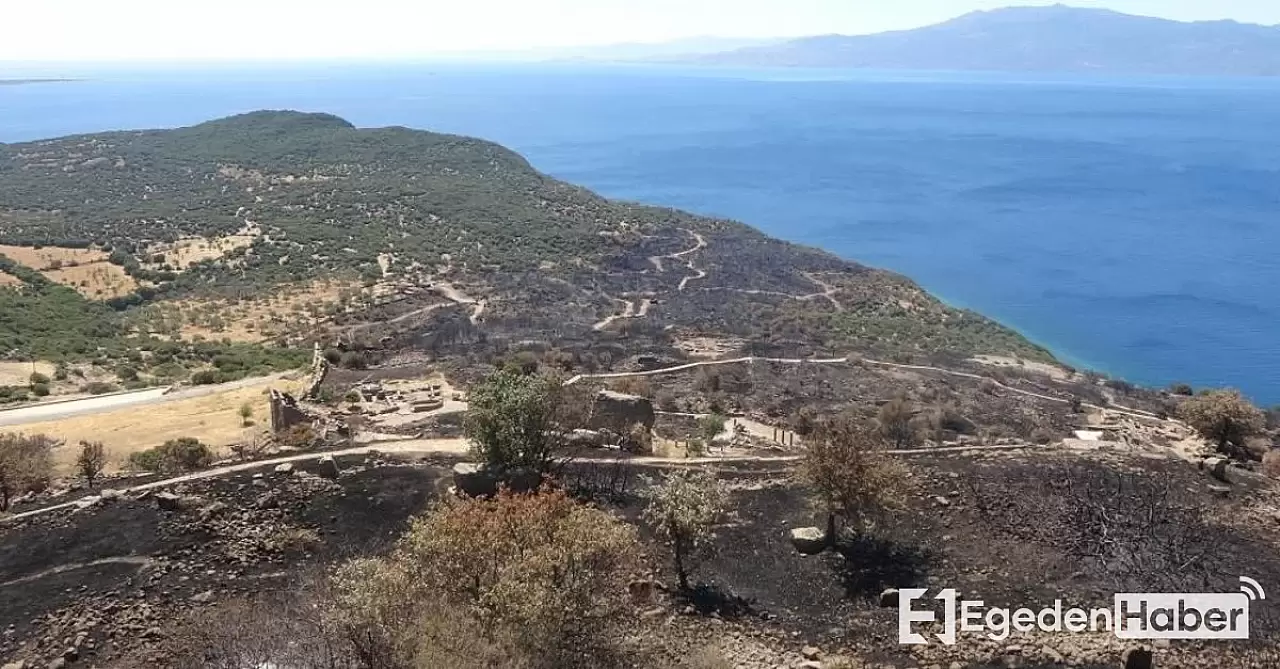 Assos Antik Kenti, Çanakkale'deki Yangın Sonrası Ziyaretçilere Kapılarını Tekrar Açtı