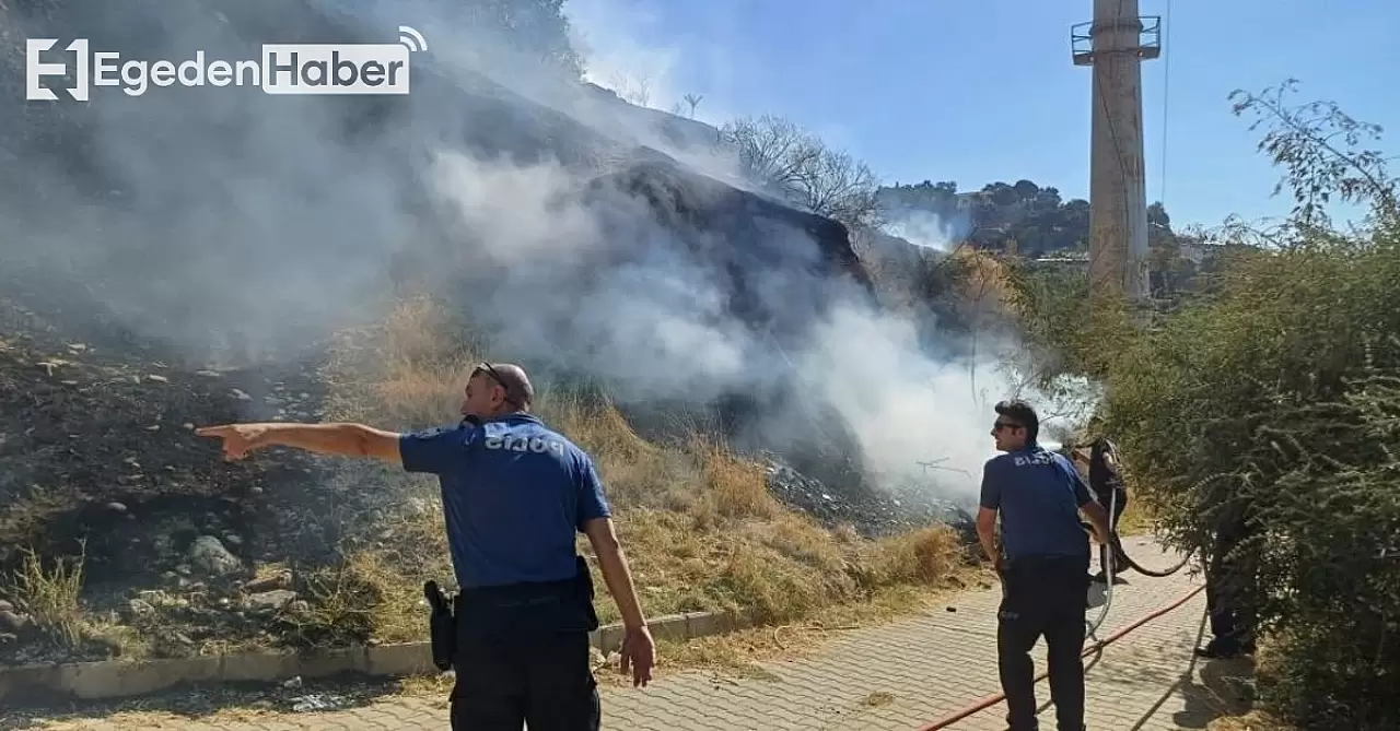 Aytepe Mesire Alanı'nda Çıkan Yangın Kontrol Altına Alındı