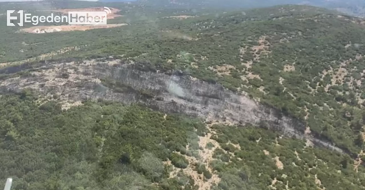 Muğla ve Aydın'daki yangınlar kontrol altına alındı, ekipler soğutma çalışmalarına devam ediyor