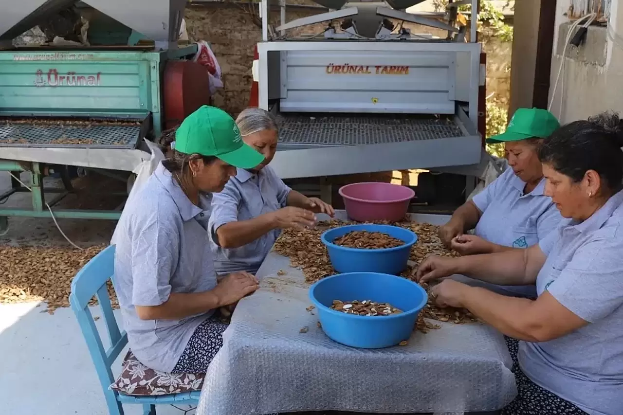 Muğla'da Tarımsal Güçbirliği Kooperatifleri Önemli Adımlar Attı