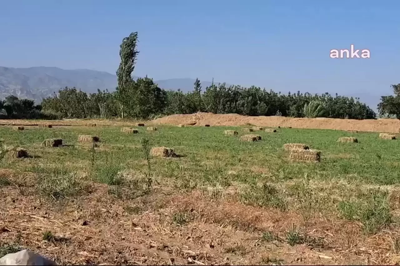 Denizli Otoyolu'nun Tarım Arazilerine Etkisi: Üreticilerden Tepki Yağıyor