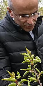 Malatya'da don felaketine maruz kalan çiftçilerin yardımına destek ziyareti yapılacak