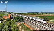 İspanya'da tren kazası: yas başladı