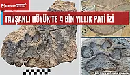 Tavşanlı Höyük'te 4 bin yıllık köpek pati izleri bulundu