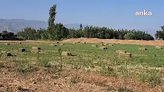 Denizli Otoyolu'nun Tarım Arazilerine Etkisi: Üreticilerden Tepki Yağıyor
