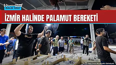 İzmir'de palamut bereketi: tanesi 100 lira
