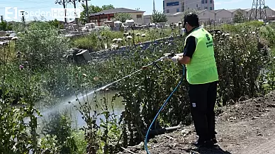 Balıkesirliler bu yaz sivrisinekten kurtuluyor