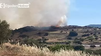 Korkutan Orman Yangını: 3 Hektar Alan Küle Döndü!