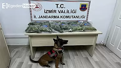 Bornova’da narkotik köpeği ile 10 kilo uyuşturucu madde ele geçirildi