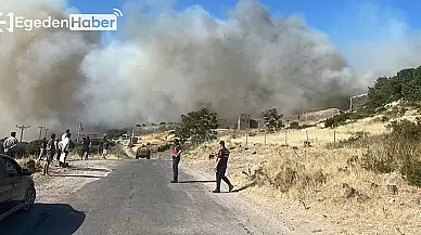 Çanakkale'de başlayan yangın Assos Antik Kenti'ne ulaştı, tarihi miras tehlikede!