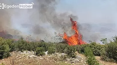 Manisa'da kontrol altına alınmaya çalışılan orman yangını için ekipler seferber oldu