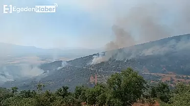 Yangın büyüyor: Uşak-İzmir tren seferleri durduruldu