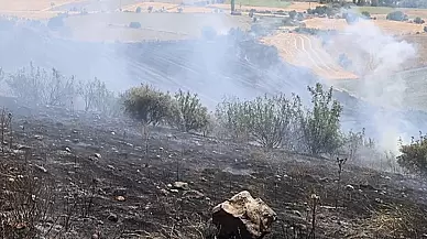 Manisa'da 100 dönümlük buğday tarlası kül oldu