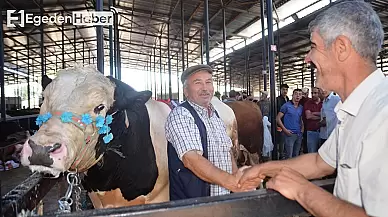 Yunusemre İlçesi'nde Kurban Kesim Alanları Tespit Edildi, Arife Günü İki Farklı Noktada Pazar Kurulacak!