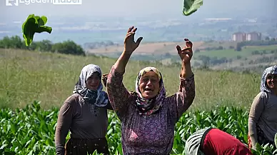 Çiftçiler, kuraklıkla mücadele için su taleplerini dile getirdi