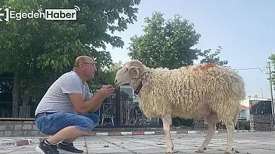 "Cancan İsimli Köpeğine Tasma Takarak Sokaklarda Gezen Kadın, Yürekleri Isıttı!"