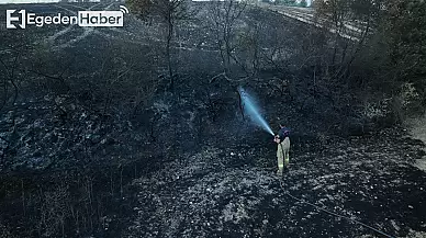 Balıkesir'deki yangında geniş bir arazi yıkıcı alevlere teslim oldu