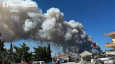 Tarihi Alanı'nın Güney Hattı Yeniden Ziyarete Açıldı