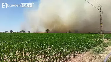 Çanakkale'de Yeni Bir Yangın Korkusu: Kabus Devam Ediyor