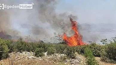 Manisa'da Alevler Ormanı Sardı: İtfaiye Ekipleri Karadan ve Havadan Yangına Müdahale Ediyor!