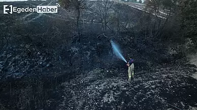 Balıkesir İtfaiyesi Hızla Devreye Girerek Yangını Kontrol Altına Aldı