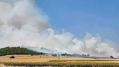 Balıkesir'de çıkan arazi yangını hızla ormana yayıldı!