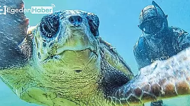 Dünya rekoru kıran dalgıç, caretta caretta ile çektiği özçekimle dikkat çekiyor