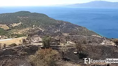 Assos Antik Kenti, Çanakkale'deki Yangın Sonrası Ziyaretçilere Kapılarını Tekrar Açtı