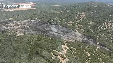 Muğla ve Aydın'daki yangınlar kontrol altına alındı, ekipler soğutma çalışmalarına devam ediyor