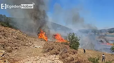 Muğla'da Endişe Verici Durum: Ormanın Hemen Kenarında Yangın Çıktı!