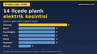 İzmir'de cuma günü 14 ilçede elektrik kesintisi