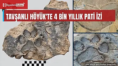 Tavşanlı Höyük'te 4 bin yıllık köpek pati izleri bulundu