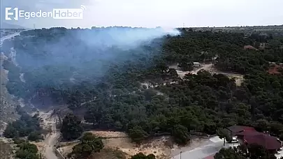 Piknikçiler orman yangını çıkarıyordu!