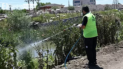 Balıkesirliler bu yaz sivrisinekten kurtuluyor