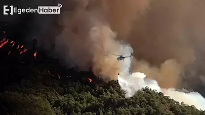 Muğla'da Ormanlara Girişler Yasaklandı