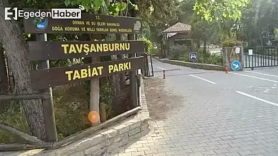 Doğanın tadını çıkarabileceğiniz Tavşanburnu Tabiat Parkı nerede?