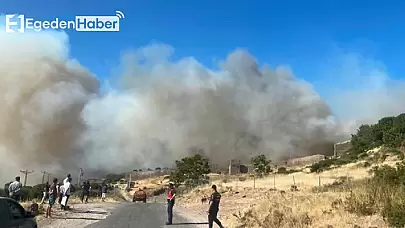 Çanakkale Ayvacık'ta kontrol altına alınamayan orman yangını, sahil kesimine doğru yayılmaya devam ediyor!