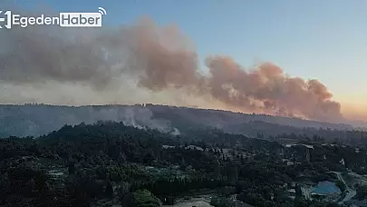 Eceabat'ta Devam Eden Orman Yangınına Havanın Aydınlanmasıyla Müdahale Başladı