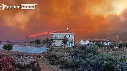 Yangın Faciası Tanıkları Canlı Yayında Gözyaşlarına Boğuldu